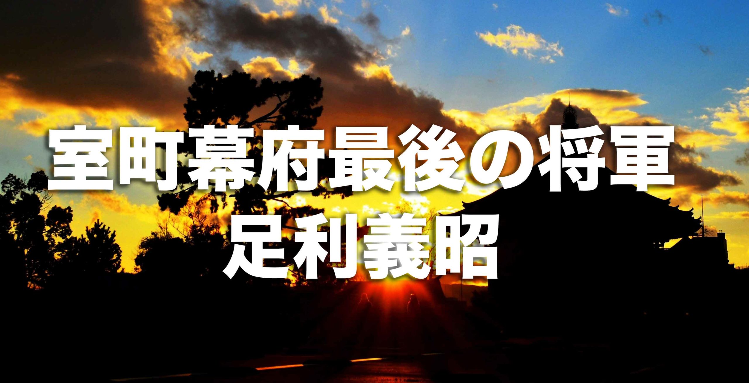 室町幕府最後の将軍「足利義昭」はどんな人？その生涯と人物像を徹底解説！