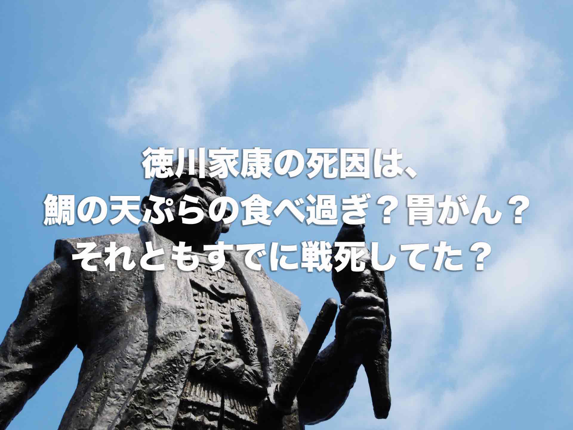 徳川家康の死因は鯛の天ぷらの食べ過ぎ？胃がん？それともすでに戦死してた？